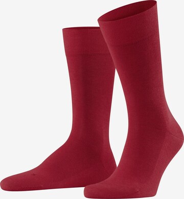 FALKE Socks 'Sensitive London' in Red: front