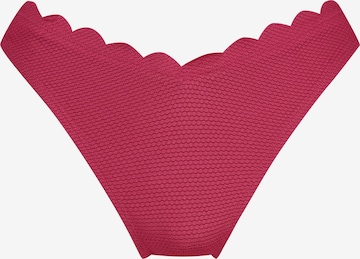 Hunkemöller Bikini Bottoms in Red: front