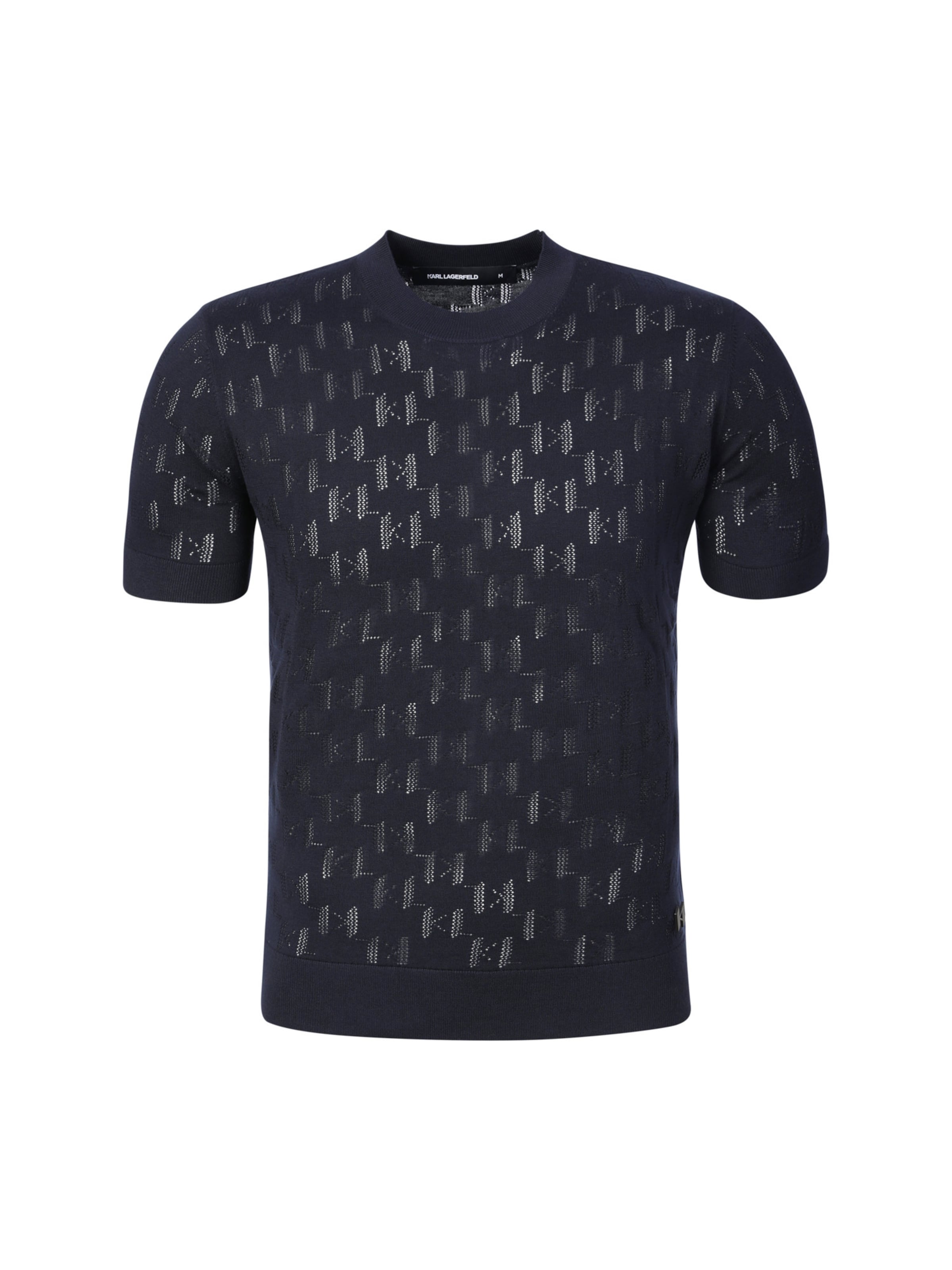 Karl Lagerfeld Sweater in Blue: front