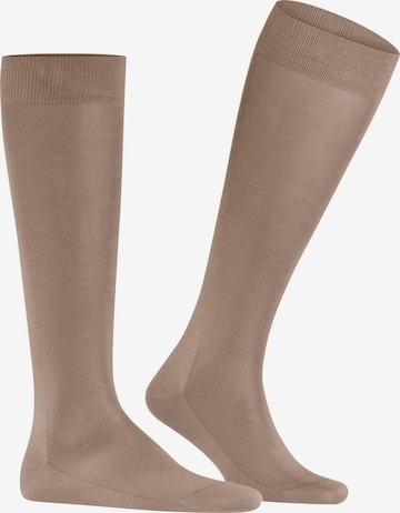 FALKE Knee High Socks 'Tiago' in Beige: front