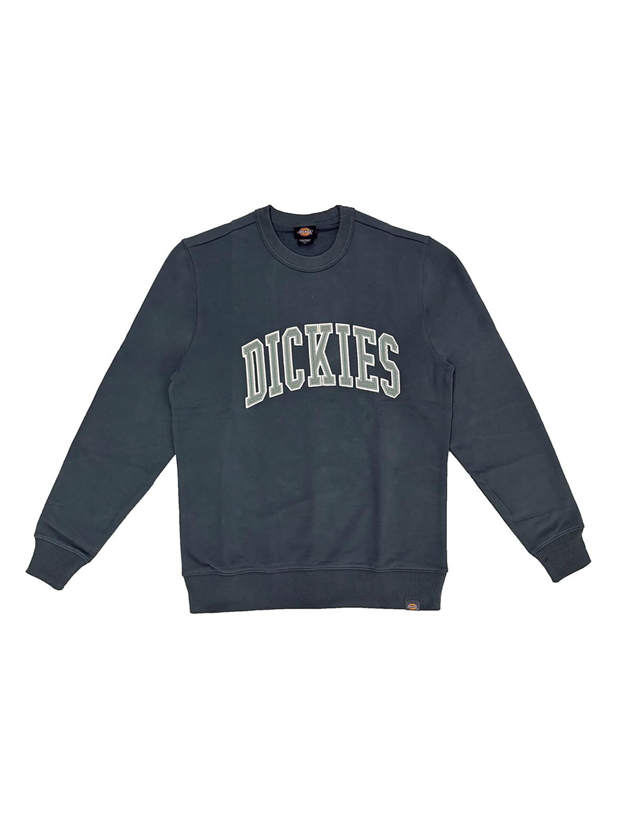 DICKIES Sweatshirt 'Aitkin'‌‌‌‌‌‌‌‌‌‌ in Grün: Vorderseite