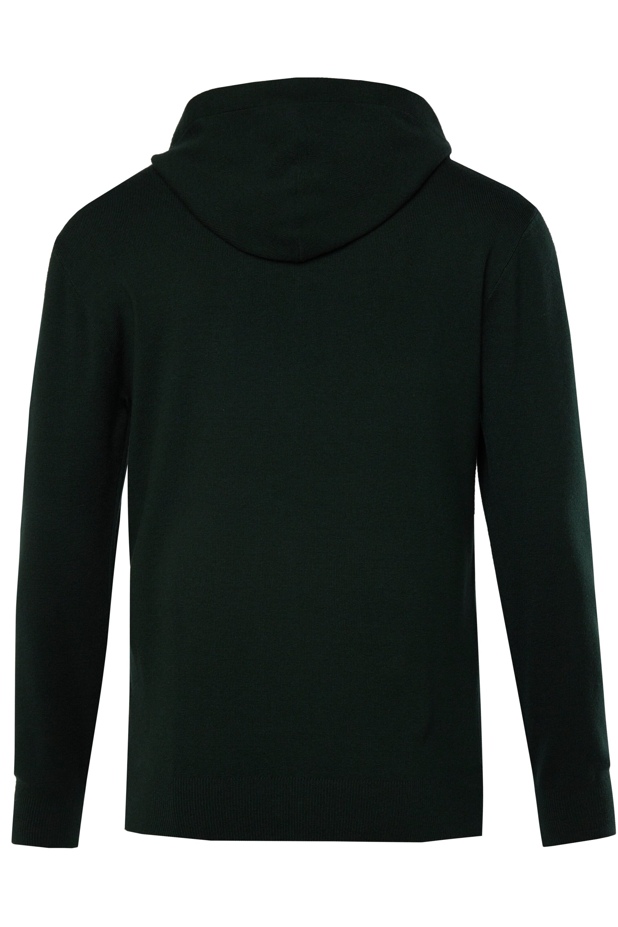 JP1880 Pullover in Grün