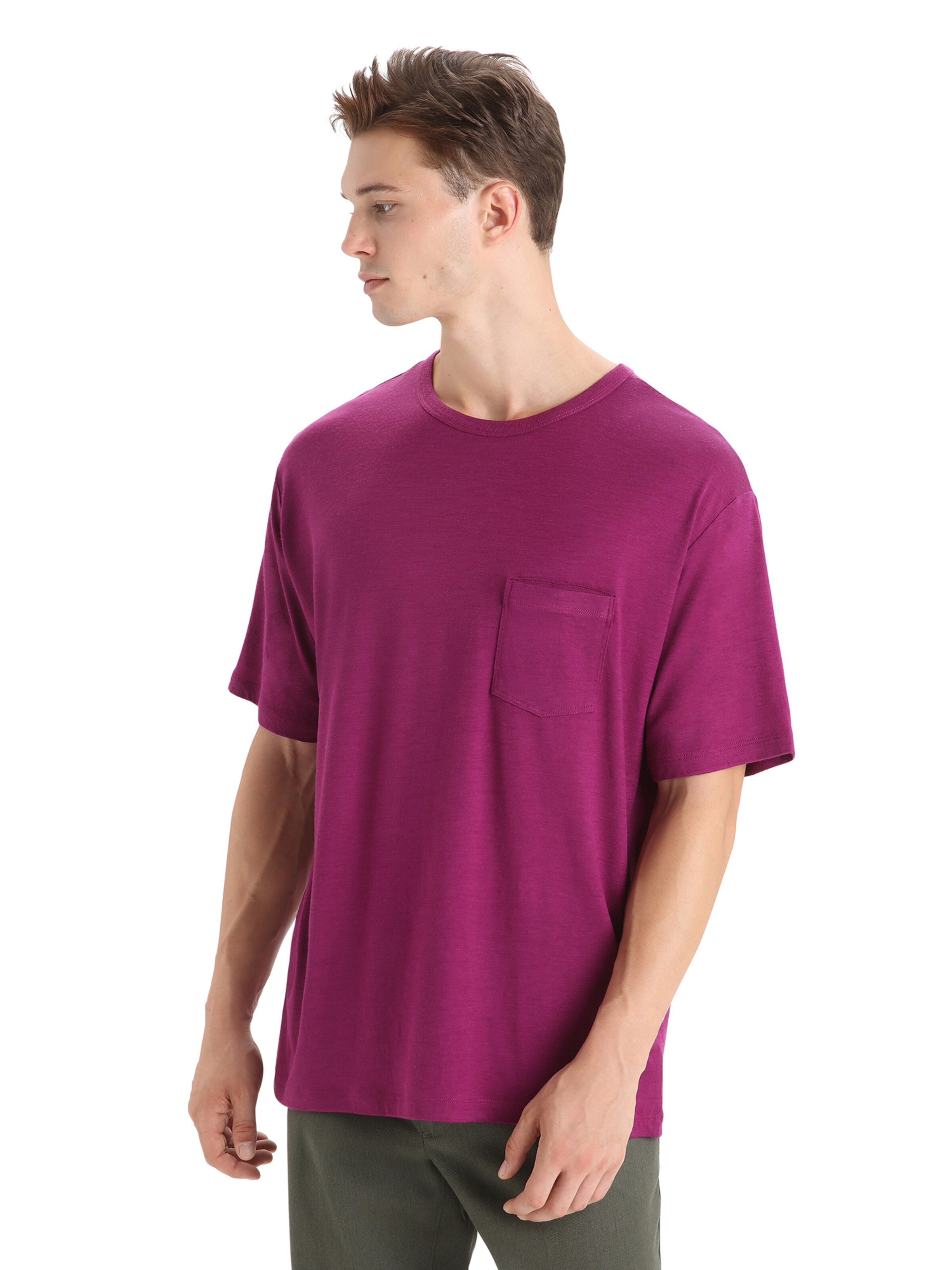 ICEBREAKER Функционална тениска 'Granary' в лилав: отпред