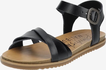 Blowfish Malibu Sandalen met riem in Zwart: voorkant