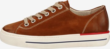 Paul Green Sneaker in Braun