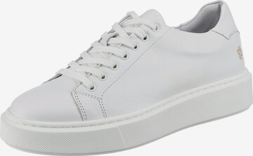 Apple of Eden Sneakers in White: front