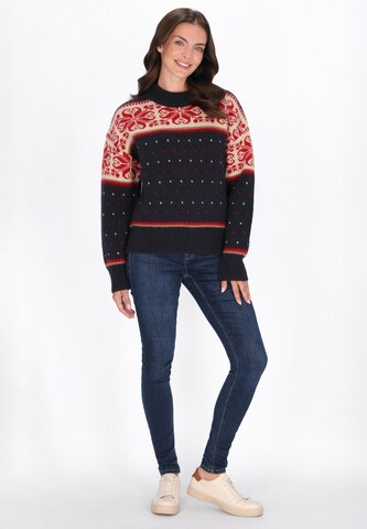 Pull-over usha BLUE LABEL en bleu