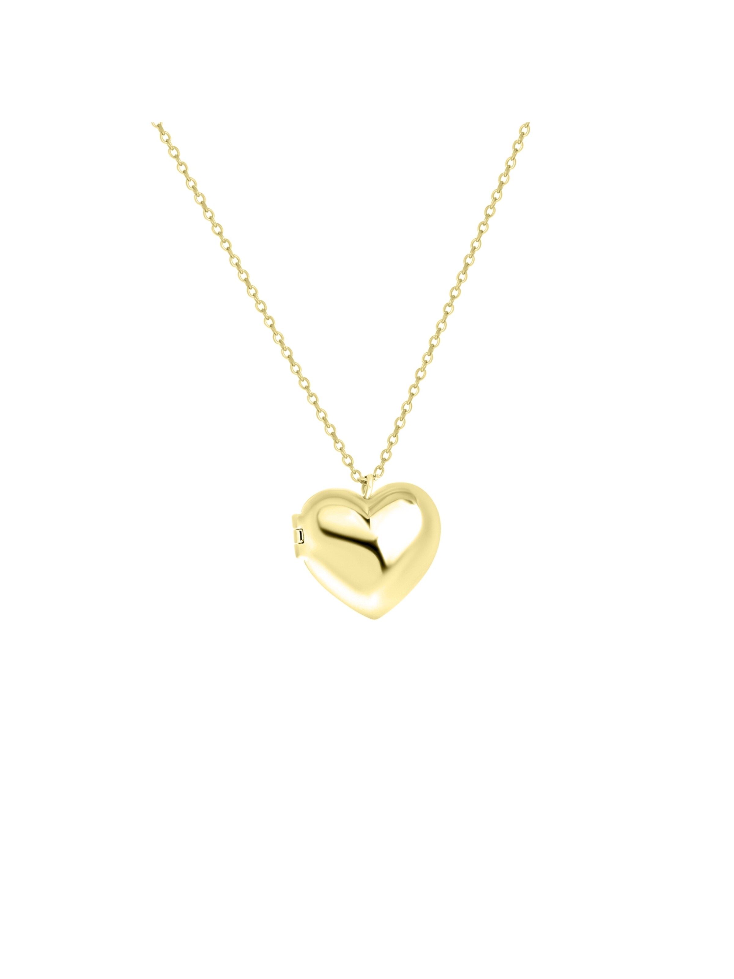 Lucardi Necklace in Gold: front