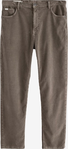 Pantalon Next en marron : devant