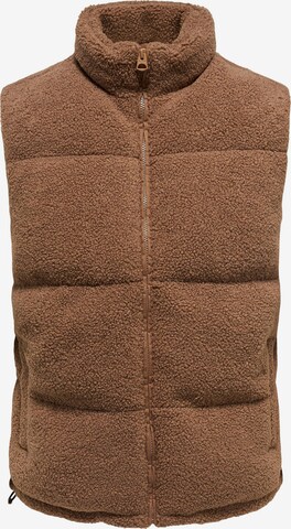 Only & Sons Vest 'DWAYNE' in Brown: front