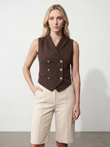 Gilet Dilvin en marron