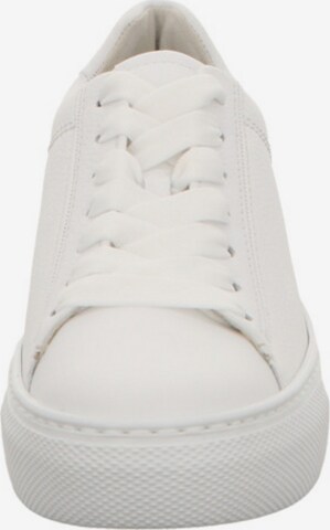 GABOR Sneakers in White