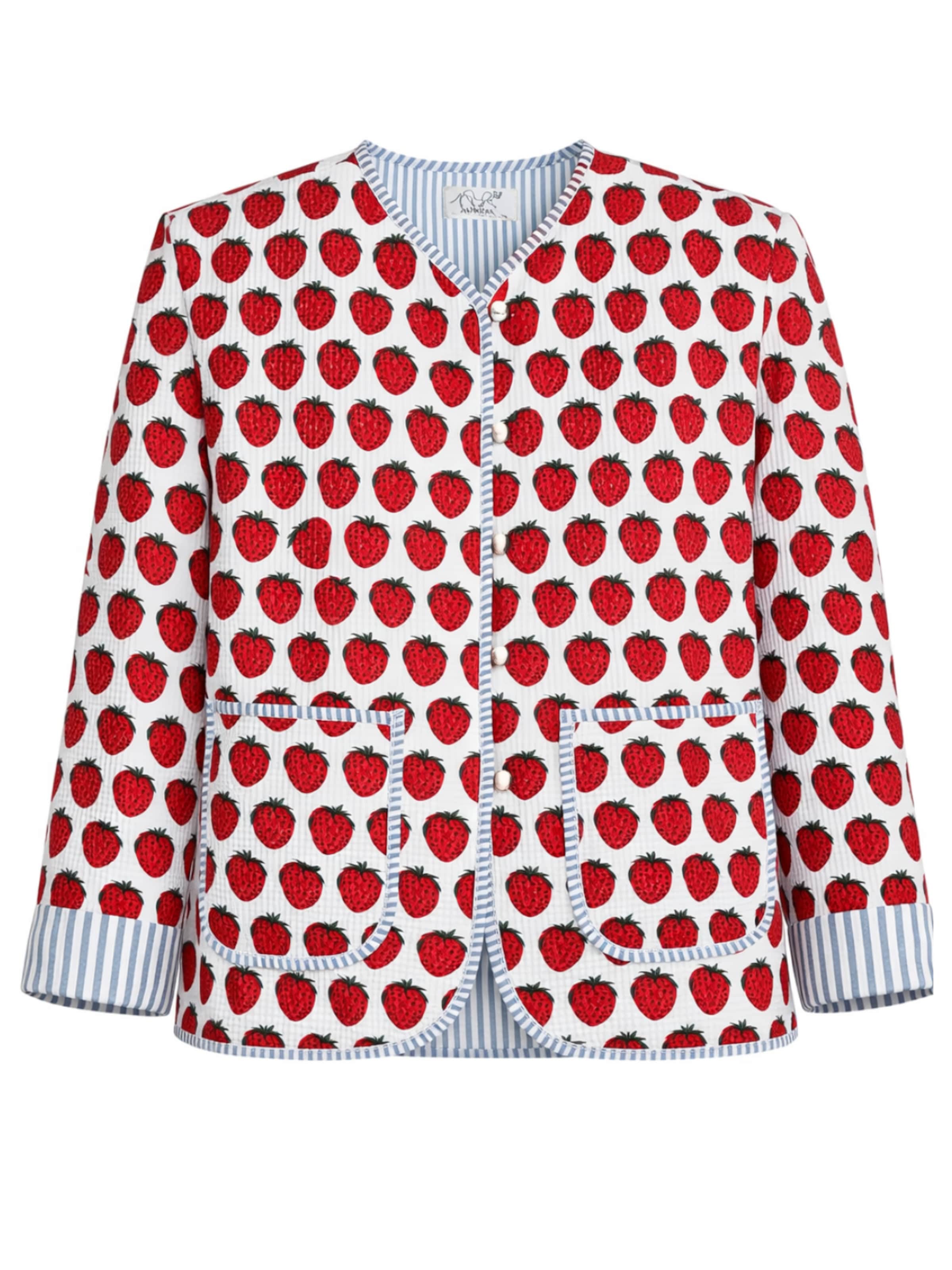 ASHINDIA Between-Season Jacket in Mixed colors: front