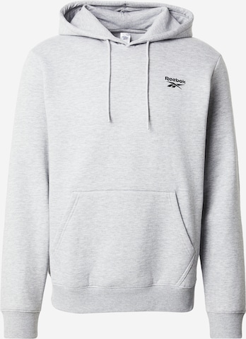 Reebok Bluzka sportowa 'NOAH' w kolorze szary: przód