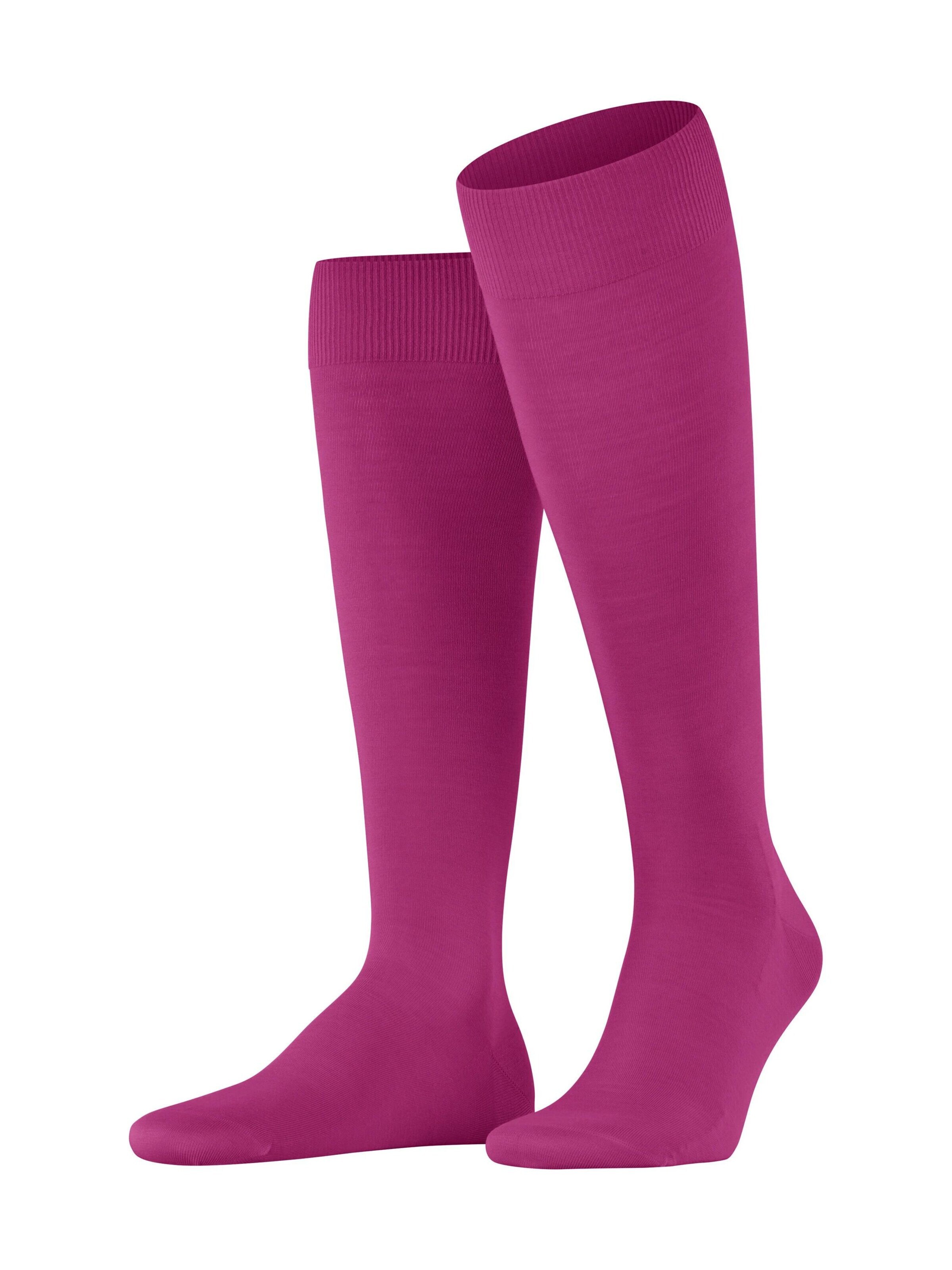 FALKE Kniestrümpfe 'ClimaWool'‌‌‌‌‌ in Lila: Vorderseite