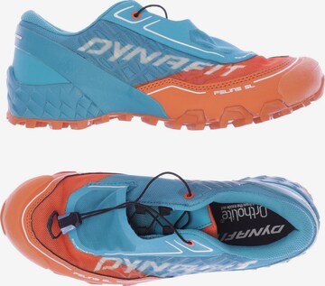 DYNAFIT Sneakers & Trainers in 40 in Orange: front