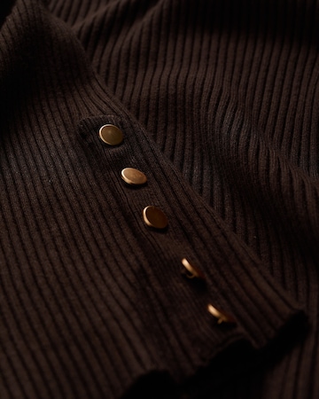 WE Fashion Sweater in Brown