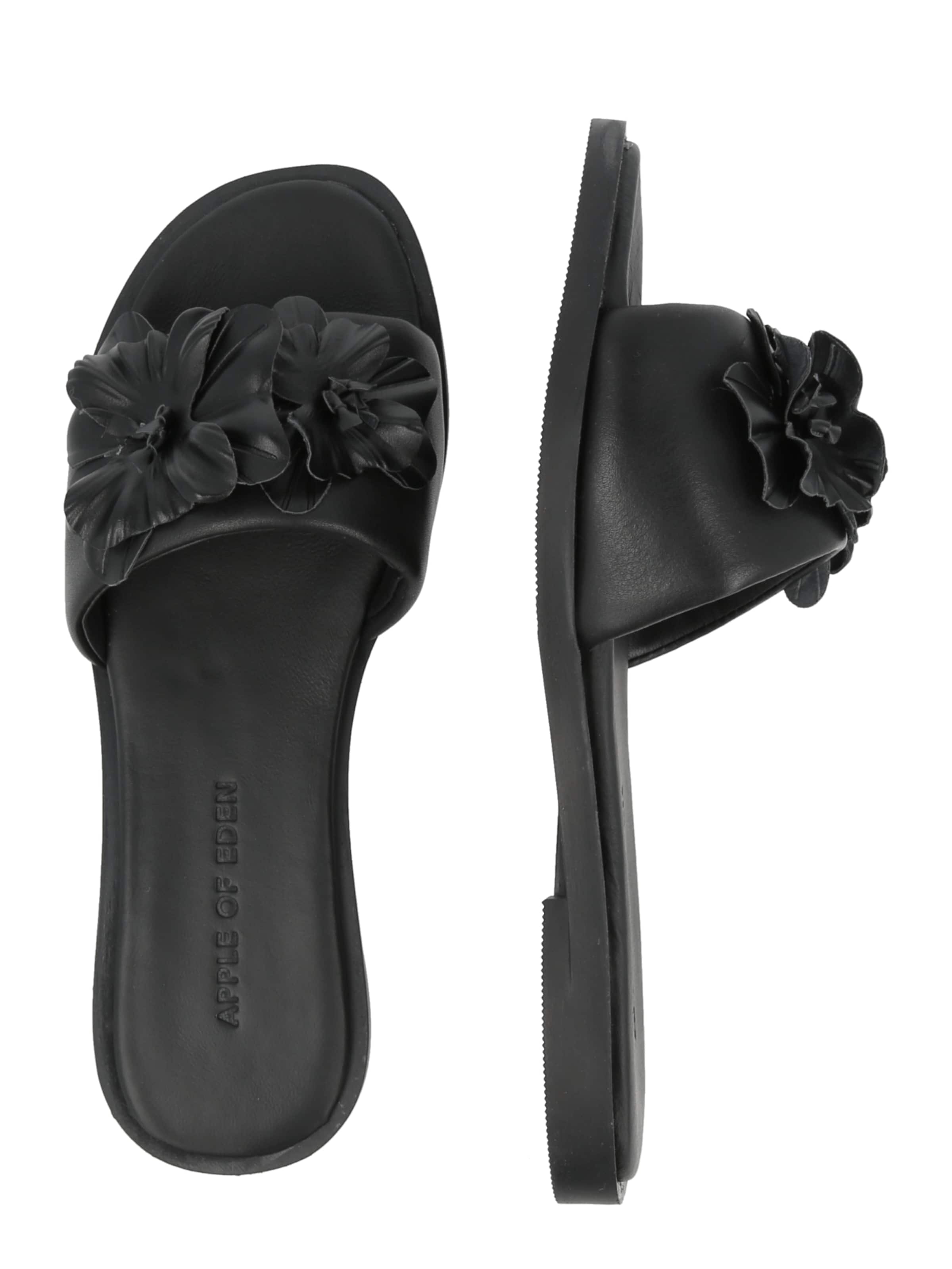 Mule 'AGNIS' Apple of Eden en noir