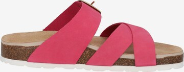 ROHDE Pantolette in Pink