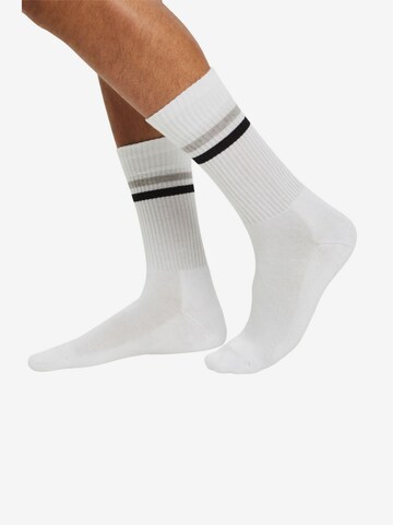 Chaussettes ESPRIT en blanc : devant