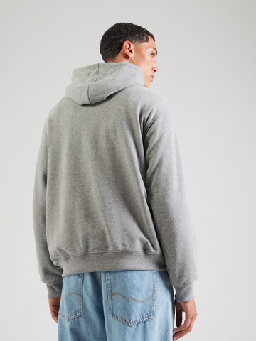 VANS Sweatshirt 'Global Line' in Grey
