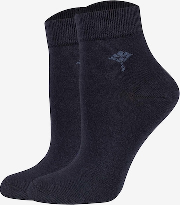JOOP! Socken in Blau: Vorderseite