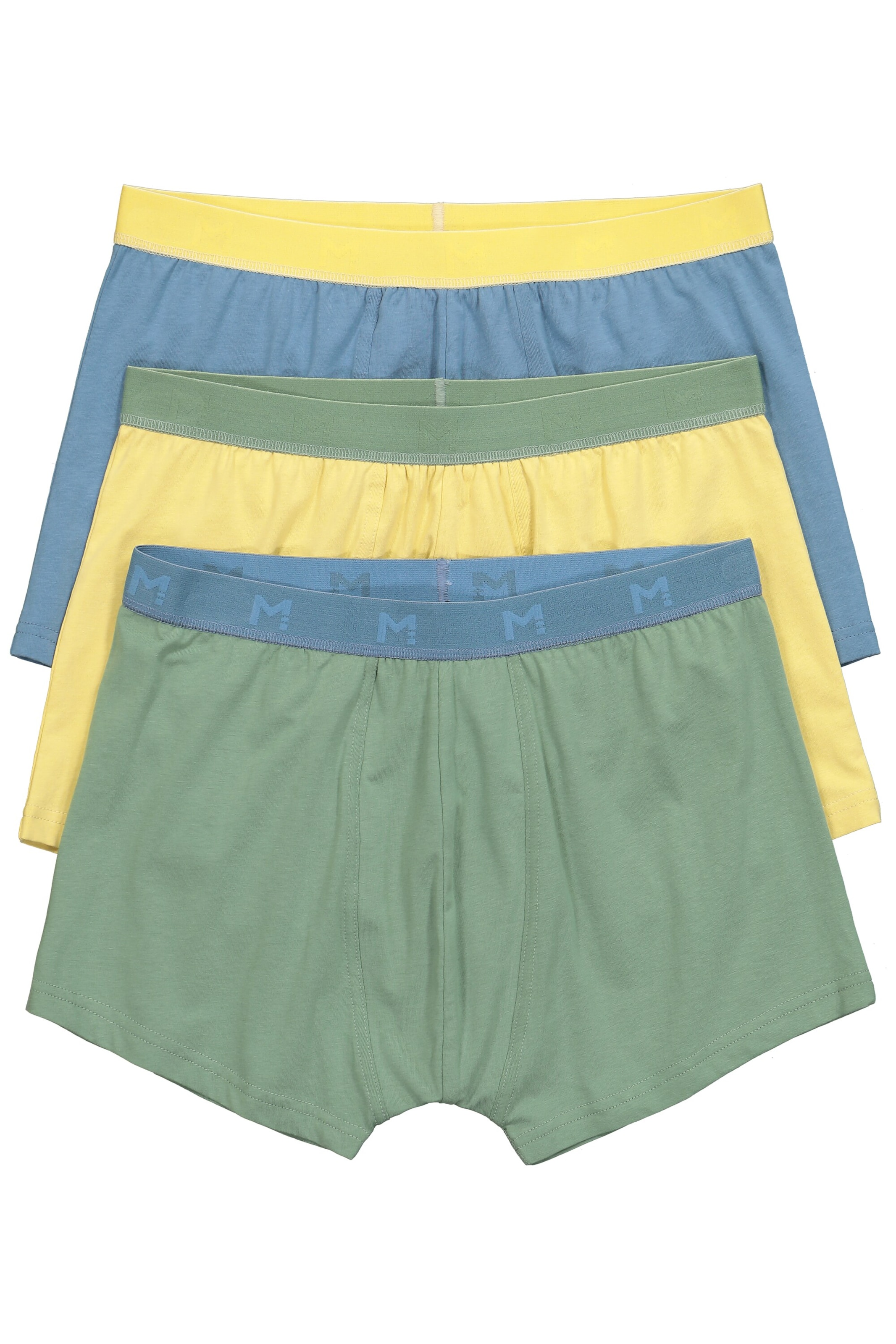 Men Plus Boxershorts in Grün: Vorderseite