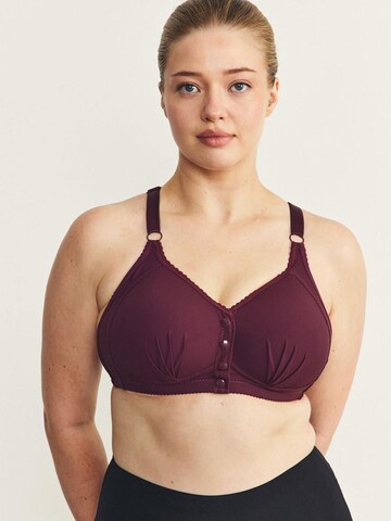 Soutien-gorge C&City en violet : devant