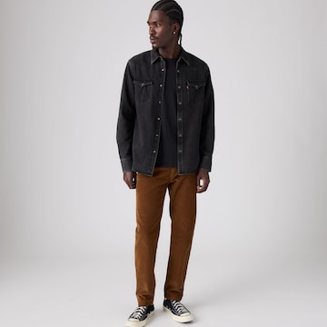 LEVI'S ® tavaline Chino-püksid 'XX CHINO STD II', värv pruun