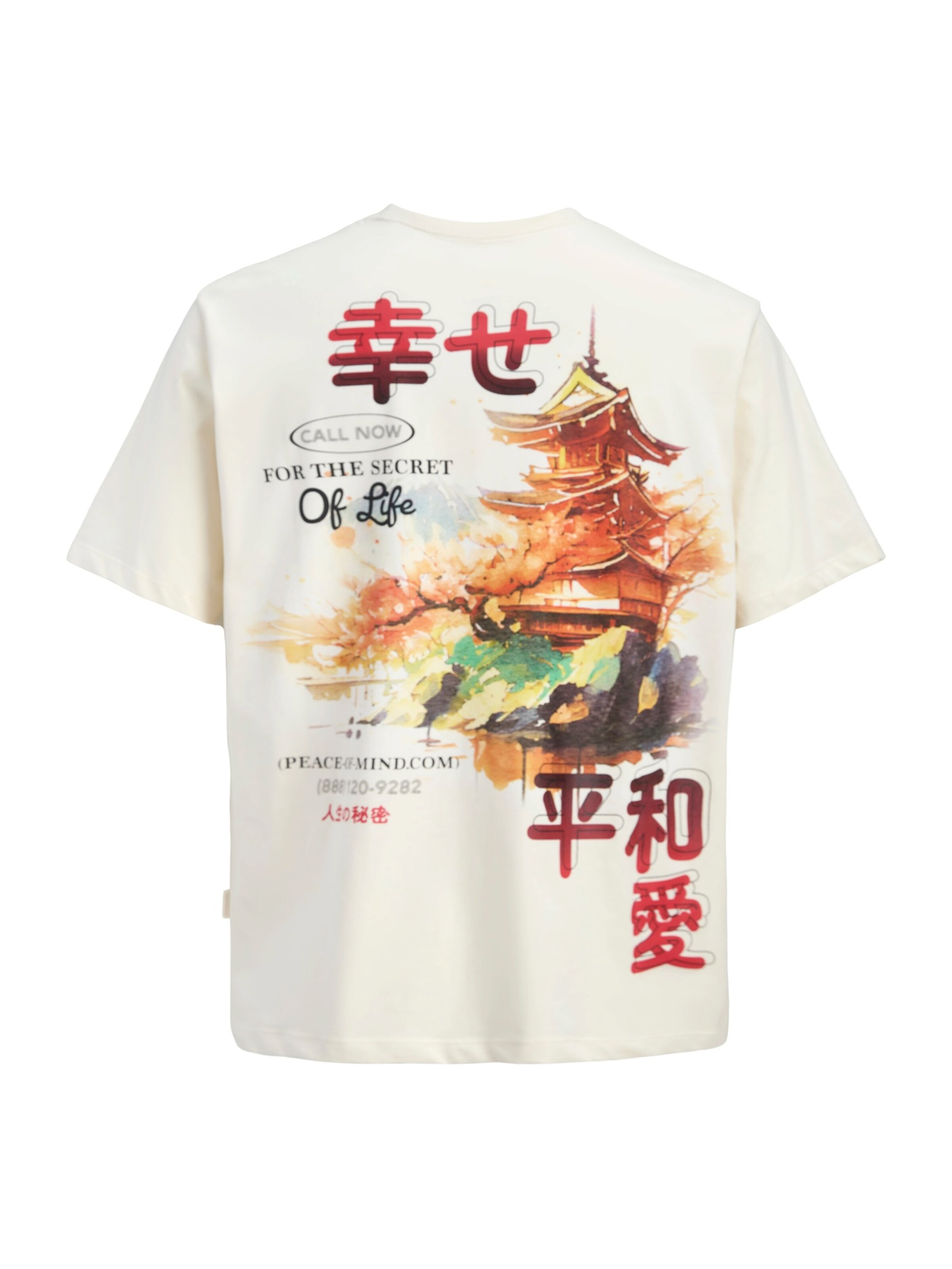 balts Jack & Jones Junior T-Krekls 'JORBig Japan'