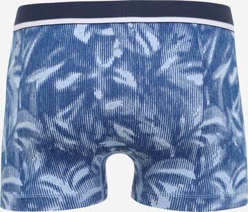 SCHIESSER Boxershorts in Blauw