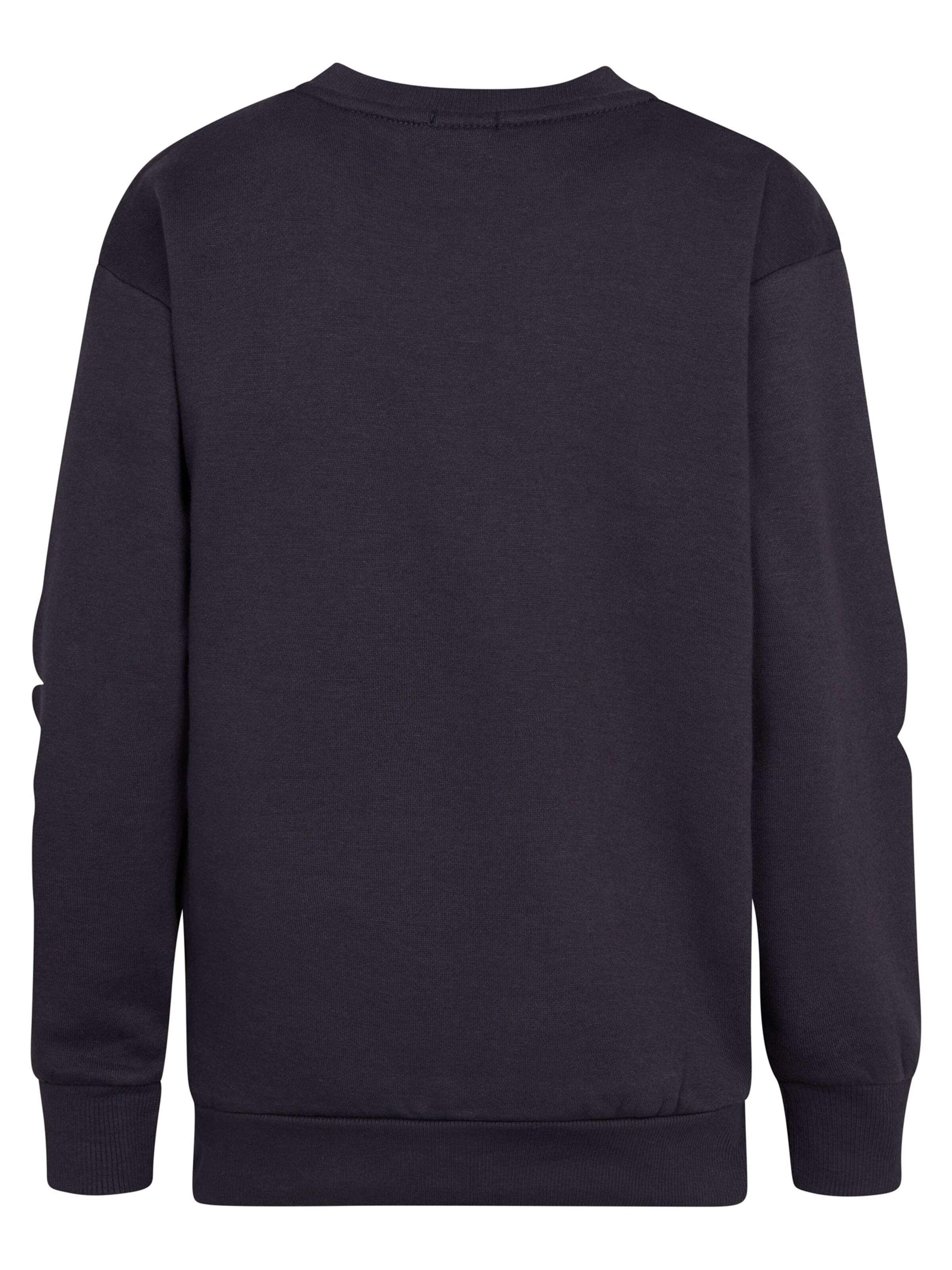 Petrol Industries Sweatshirt 'Adirondack' in Lila