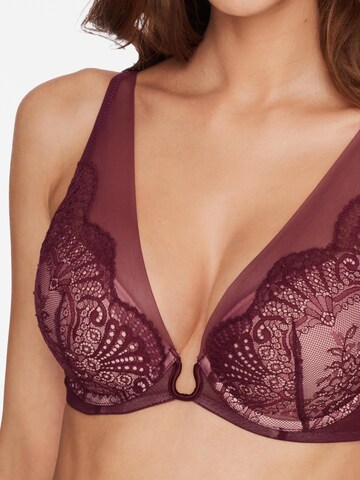 ESOTIQ - Push-up Sujetador 'Push-up-BH Tone, transparentes Mesh, Spitzenbesatz' en marrón