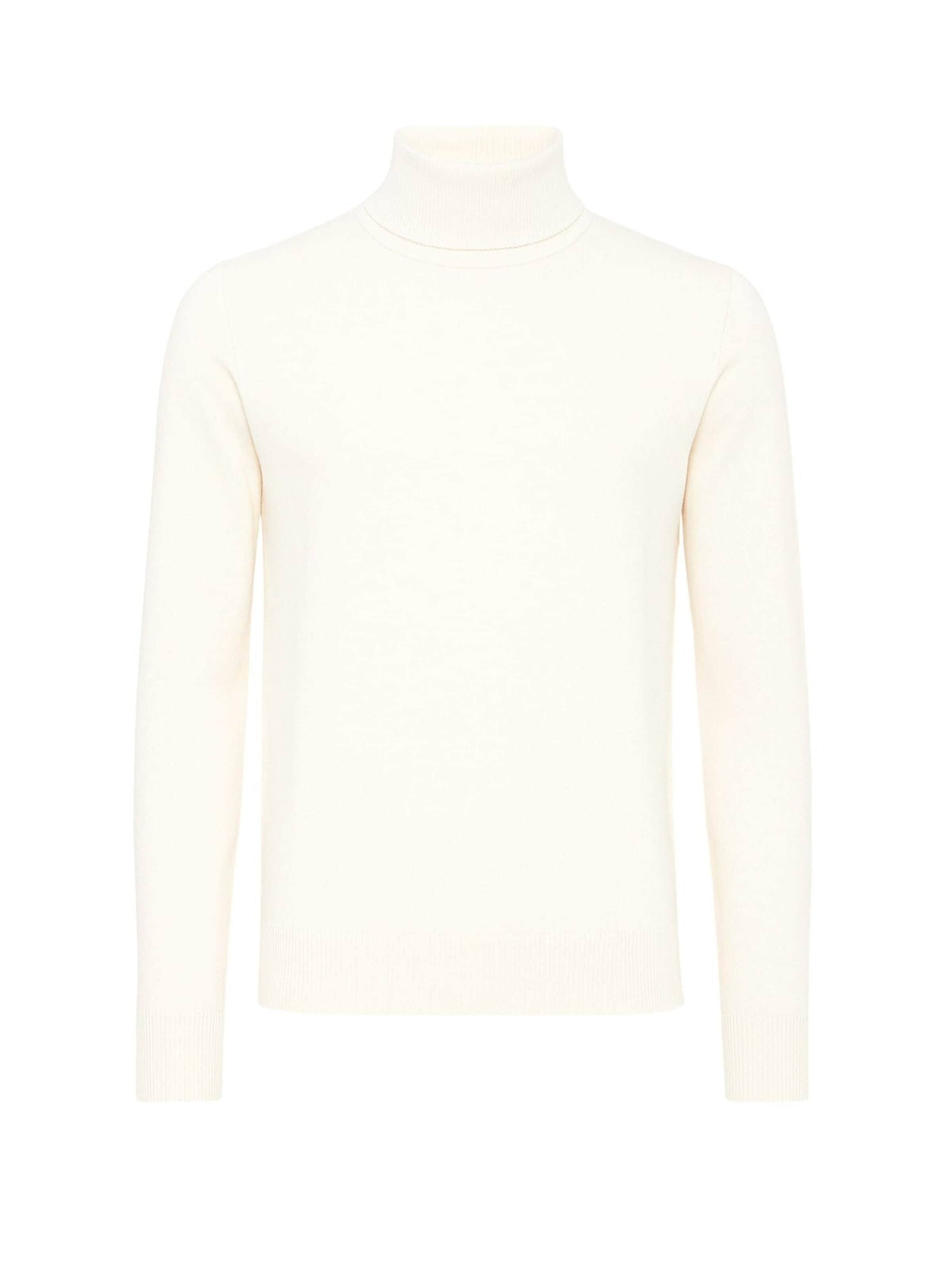 Paolo Pecora Milano Sweater 'Men's Extrafine Merino Wool Turtleneck Sweater' in Beige: front