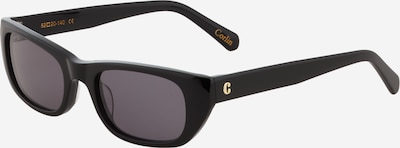 Corlin Sunčane naočale 'Marcel' u crna, Pregled proizvoda
