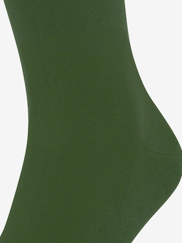 FALKE Socken 'Cool 24/7' in Grün: Vorderseite