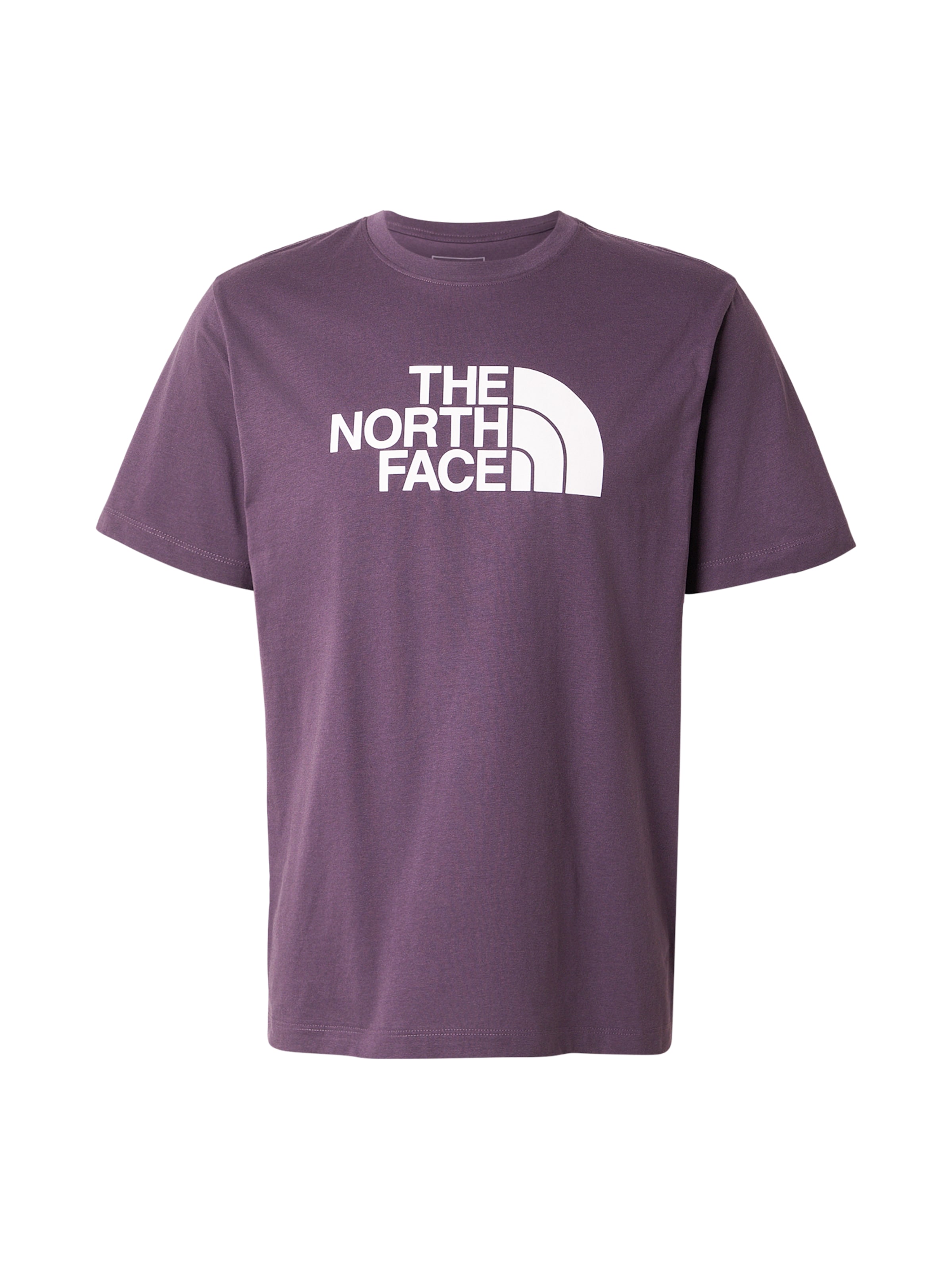 THE NORTH FACE Póló 'EVOLUTION HALF DOME' - lila: elől