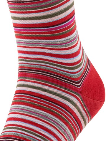 FALKE Socken 'Microblock'‌‌‌‌‌‌‌‌ in Rot