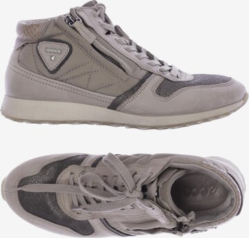 ECCO Sneakers & Trainers in 36 in Grey: front