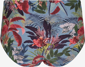 Swim by Zizzi Bikinibroek 'Stania' in Blauw