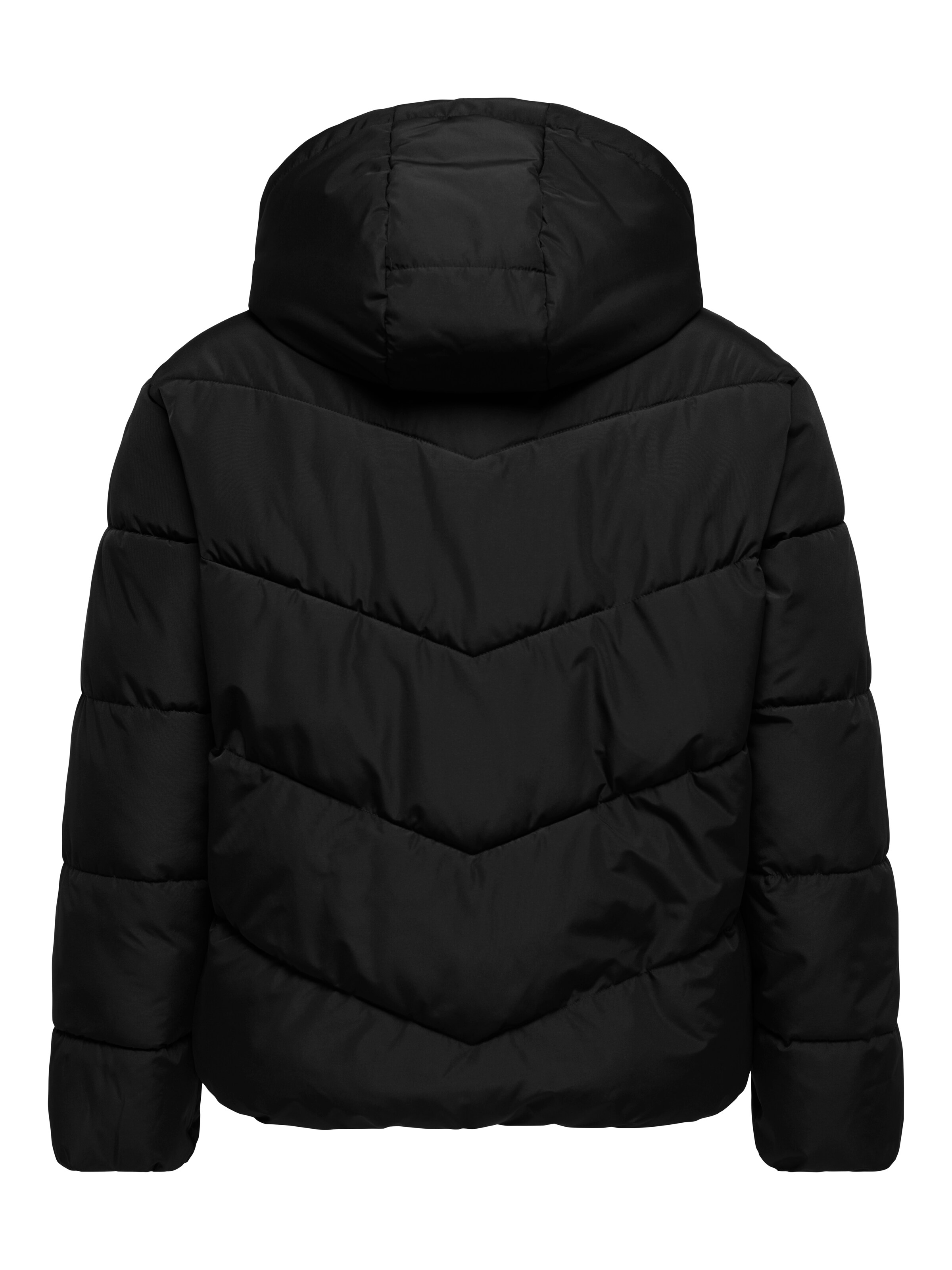 Veste mi-saison 'CARClair' ONLY Carmakoma en noir