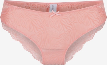 LingaDore Panty in Orange: front