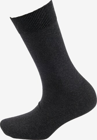 camano Socks in Grey