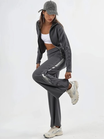 Hiccup Kostuum in Grijs