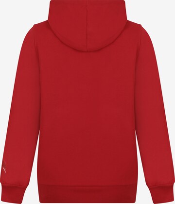 Sweat-shirt 'Zenaida' DENIM CULTURE en rouge