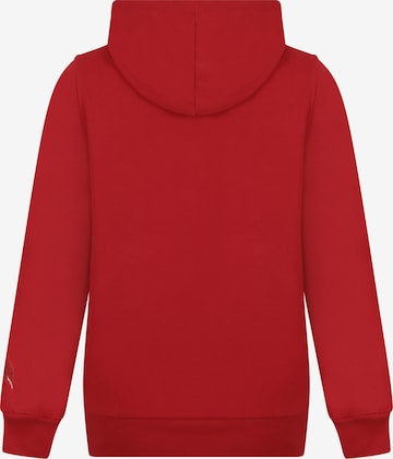 DENIM CULTURE Sweatshirt 'Zenaida' in Rood