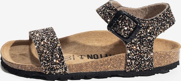 Bayton Avonaiset kengät 'GWENOLA' värissä pronssi: etupuoli