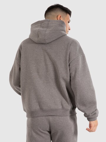 Smilodox Sweatshirt in Bruin