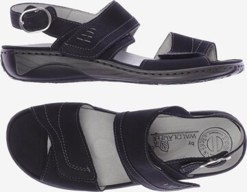 WALDLÄUFER Sandals & High-Heeled Sandals in 36 in Black: front