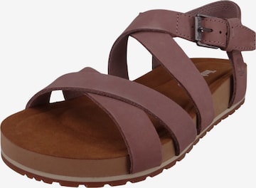 Sandales à lanières TIMBERLAND en violet : devant
